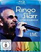 Ringo-Starr-and-the-Roundheads-Live_klein.jpg