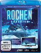 Rochen-Aquarium_klein.jpg