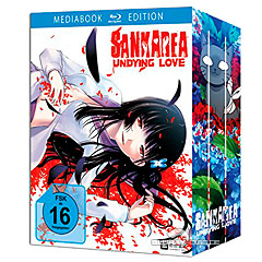 Sankarea-Undying-Love-Sankarea-Undying-Love-Vol-1-Limited-Mediabook-Edition-DE.jpg