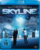 Skyline-2010_klein.jpg