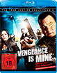 Vengeance-is-mine-Mein-ist-die-Rache-True-Justice-Collection-2-DE_klein.jpg