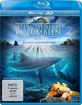 Weltnaturerbe-Kolumbien-3D-Malpelo-Nationalpark-Blu-ray-3D_klein.jpg