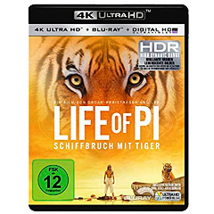 life-of-pi-schiffbruch-mit-tiger-4k-DE.jpg