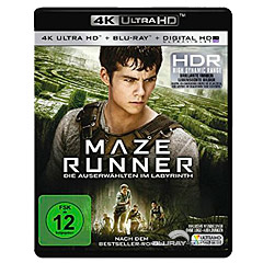 maze-runner-die-auserwaehlten-im-labyrinth-4k-DE.jpg