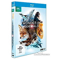 the-wonder-of-animals-tierische-ueberlebenskuenstler-de.jpg