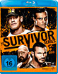 wwe-survivor-series-2013-DE_klein.jpg