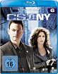 CSI-NY-Staffel-6_klein.jpg