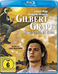 Gilbert-Grape-Irgendwo-in-Iowa_klein.jpg