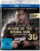 House-of-the-Rising-Sun-2011-Blu-ray-3D_klein.jpg