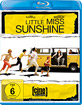 Little-Miss-Sunshine-Cine-Project_klein.jpg