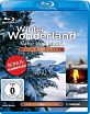 Natur-und-Musik-Winter-Wonderland_klein.jpg