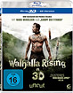 Walhalla-Rising-3D_klein.jpg