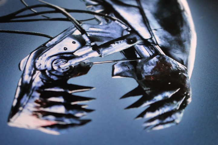 attachment.php?attachmentid=290651&d=1513439842