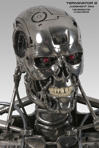 T-800 Endo Pic 2.jpg