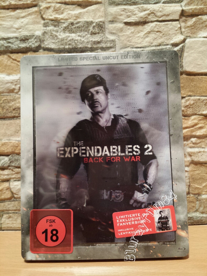 expendables 2.jpg