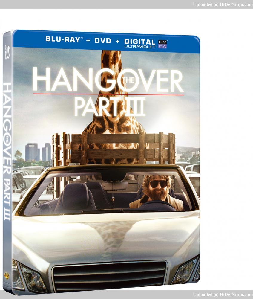 hangover_3.jpg