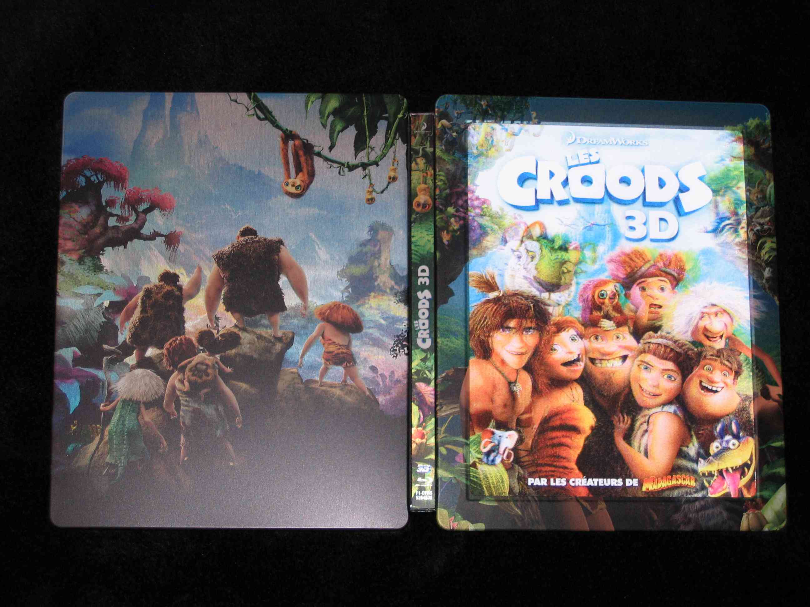 Die_Croods (FR)_a.JPG