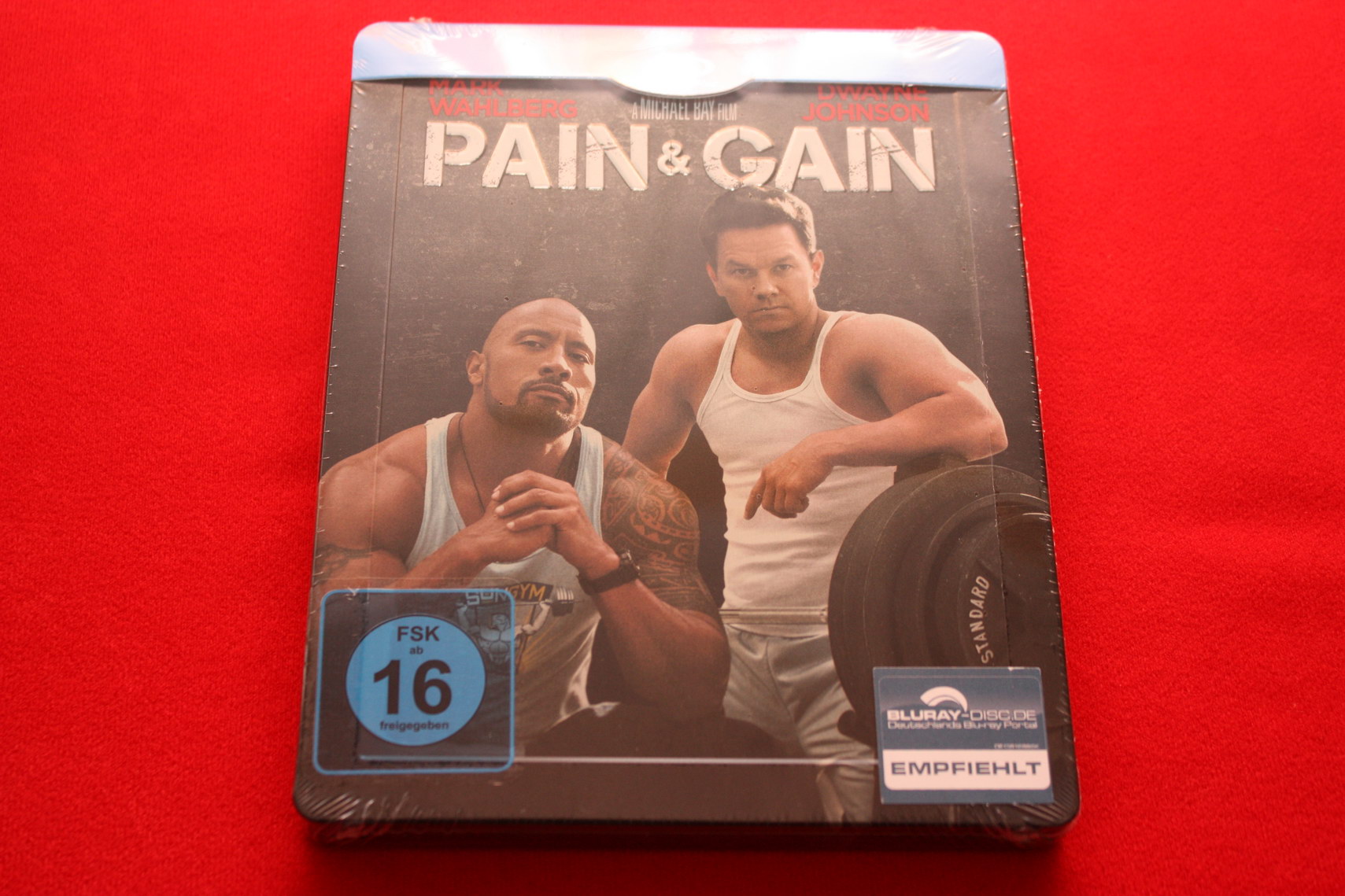 Pain and Gain.jpg