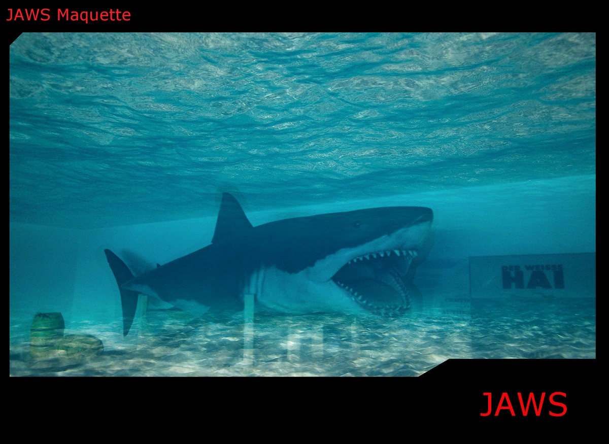 jaws1.jpg