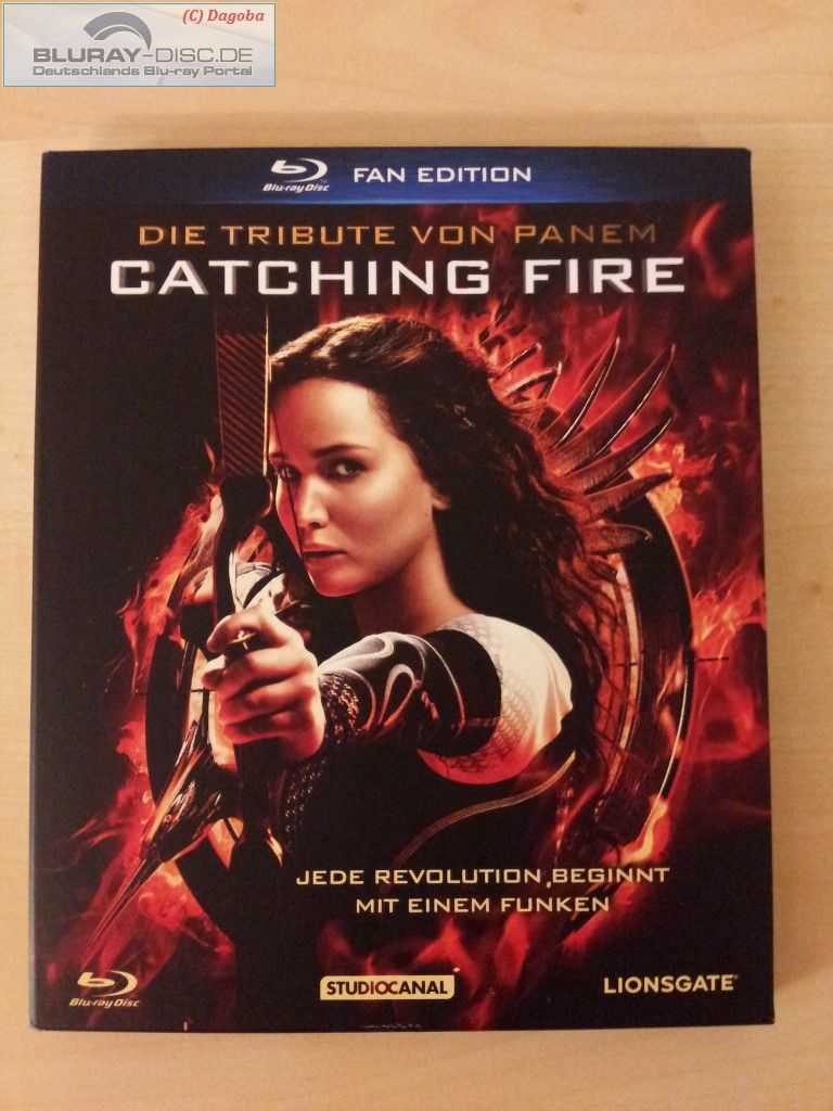 Catching Fire 004 (Medium).jpg