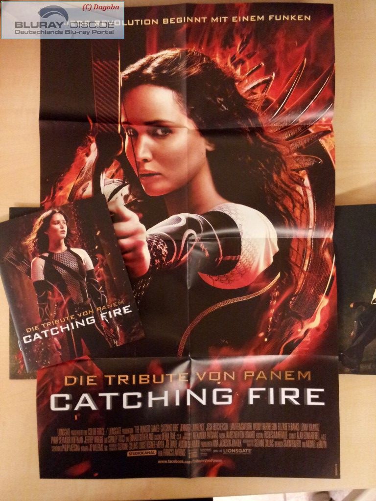 Catching Fire 025 (Medium).jpg