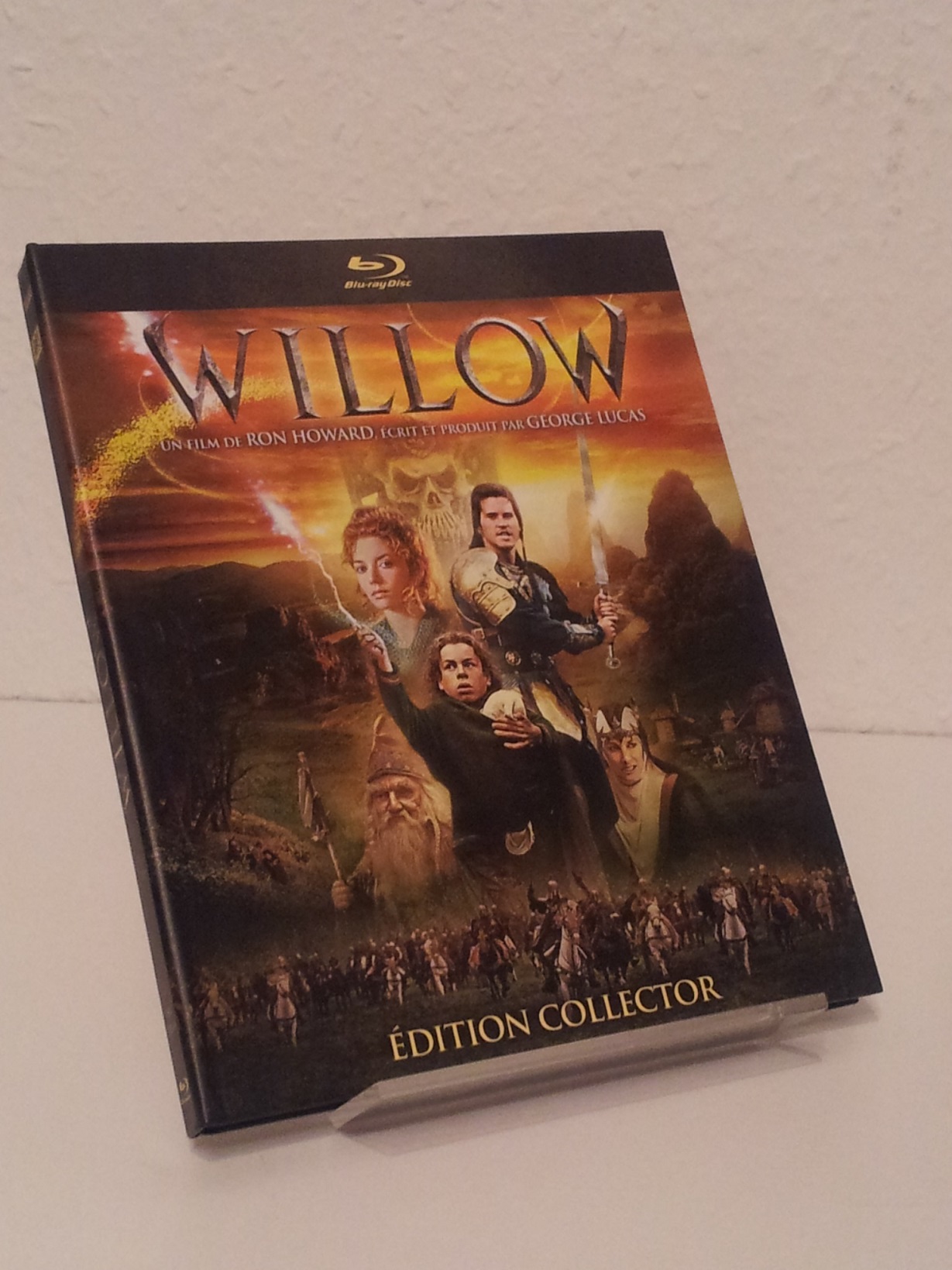 Willow - FR Collectors Book.jpg