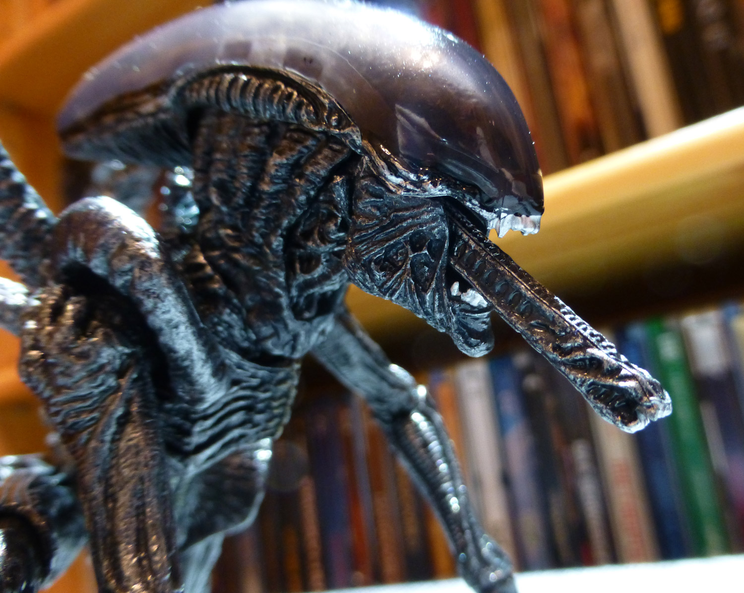 Alien-06.jpg