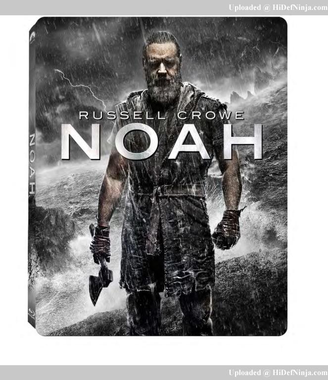 Noah2.jpg