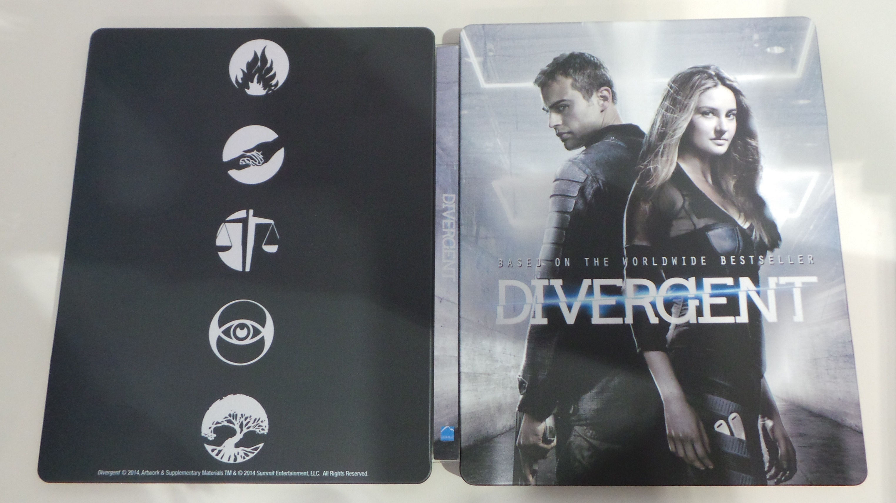 Divergent 4.JPG