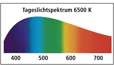 Tageslischt.jpg