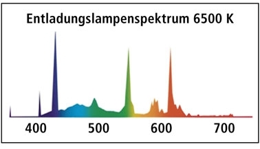 leuchtstoffröhre.jpg