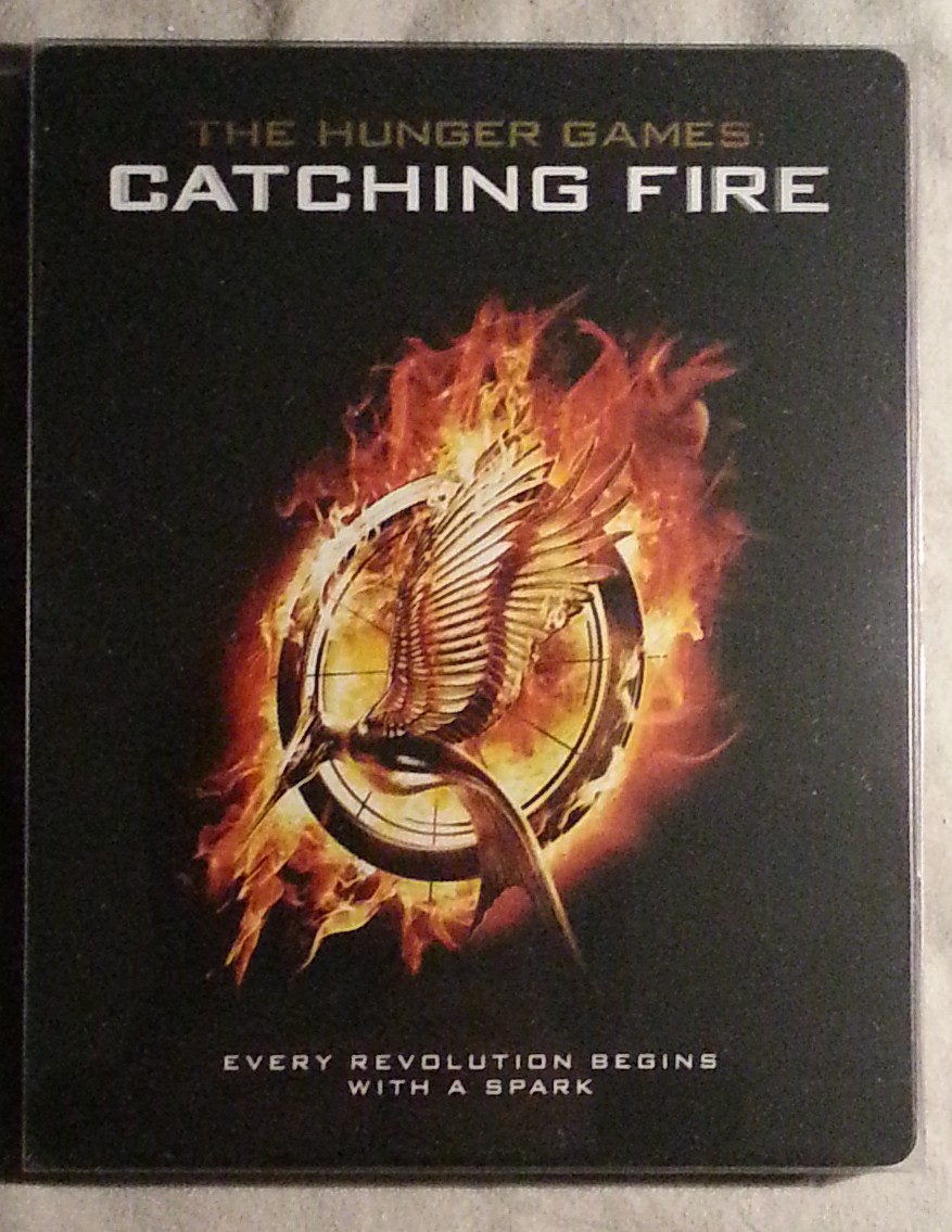 catchingfire.jpg