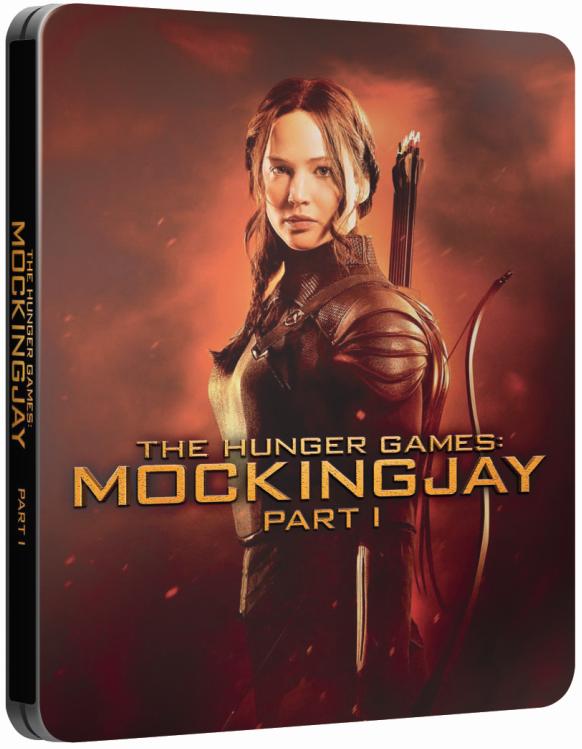 cz_mockingjay1.JPG