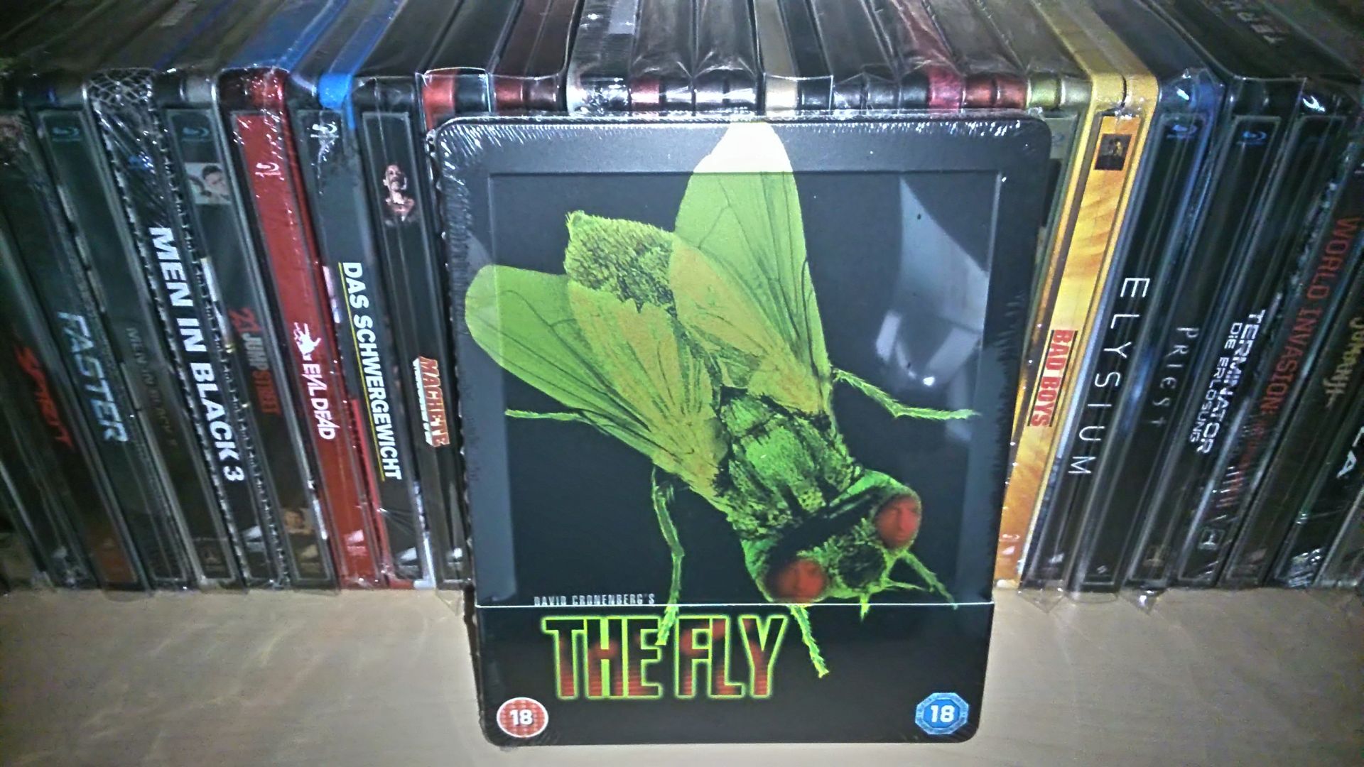 The Fly.jpg