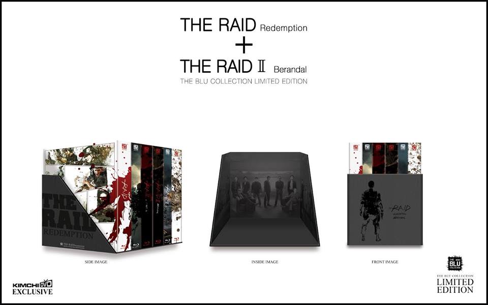 the raidn.jpg