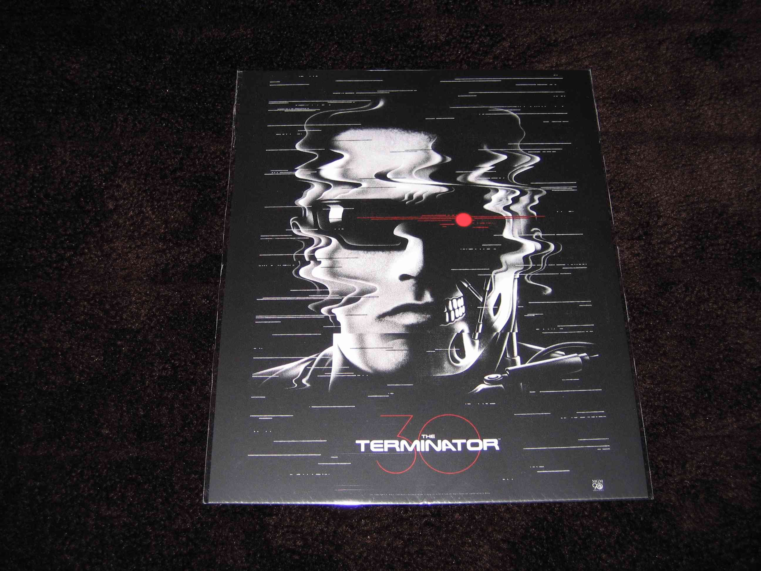 Terminator_1 (CZ)_g.JPG