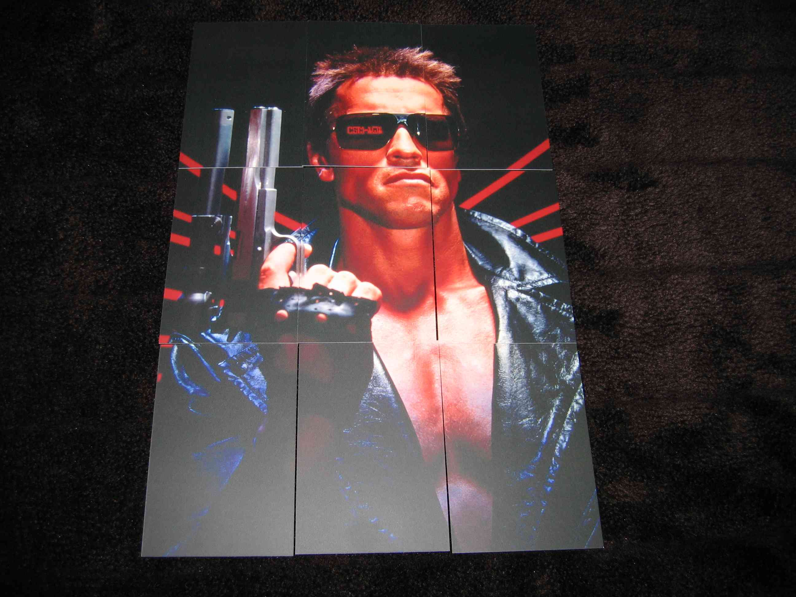 Terminator_1 (CZ)_i.JPG