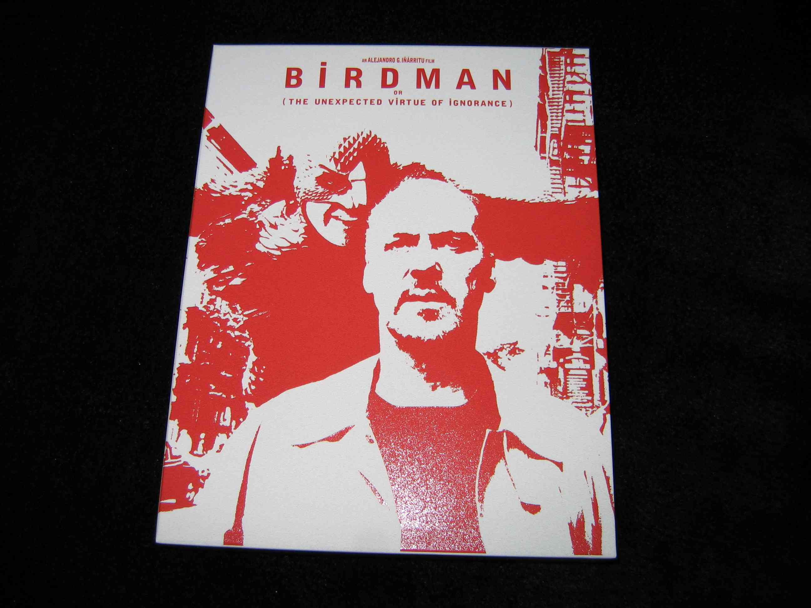 Birdman_V1 (CZ)_b.JPG