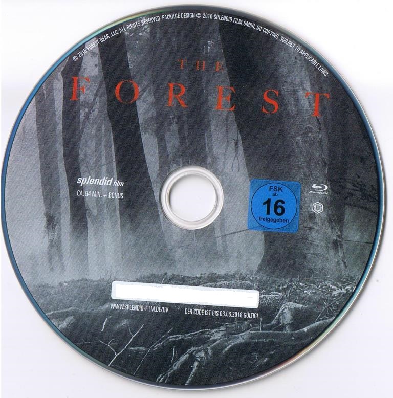 The Forest 002.jpg