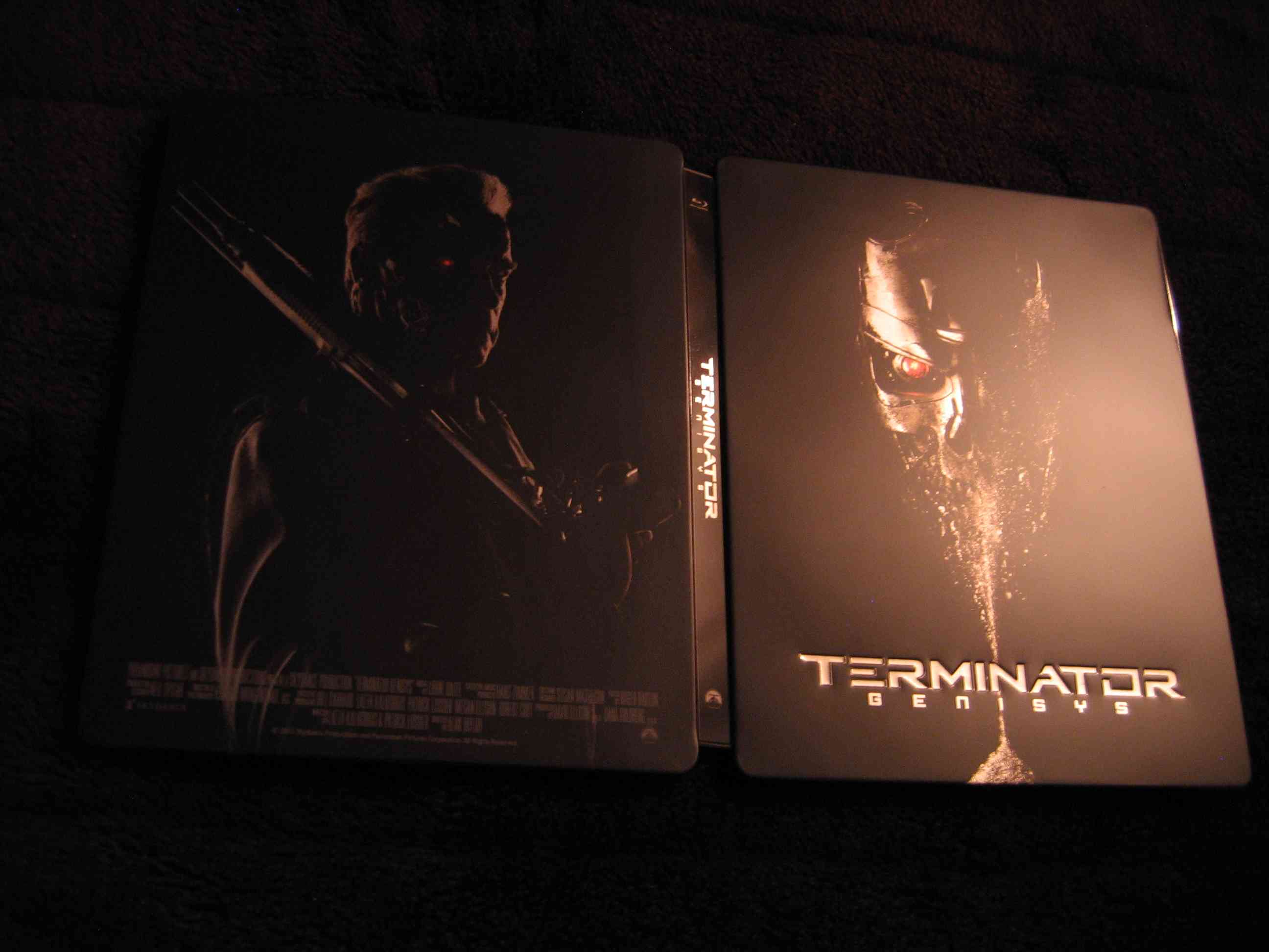 Terminator_5 (CN)_g.jpg