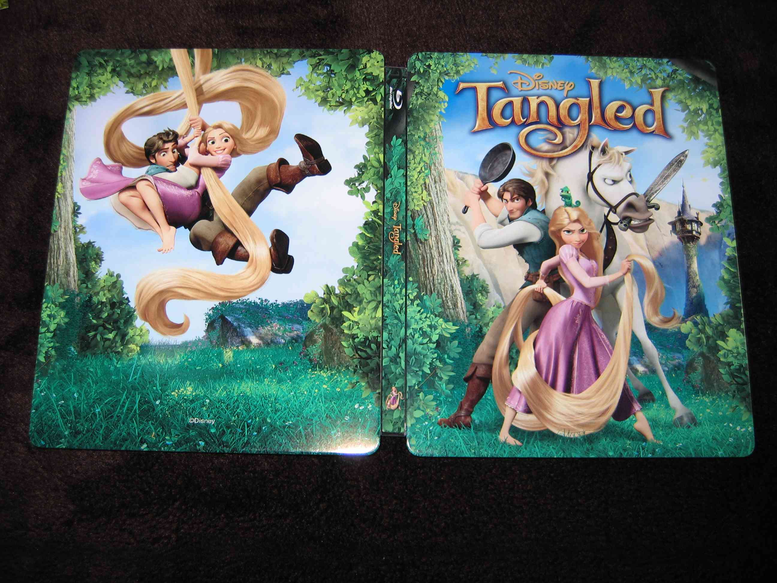 Tangled (KR)_f.JPG