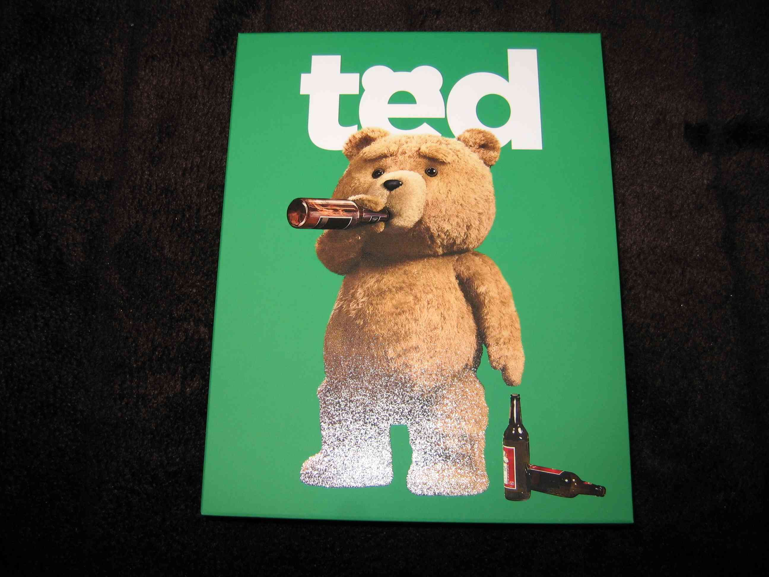 Ted_1 (CZ)_c.JPG