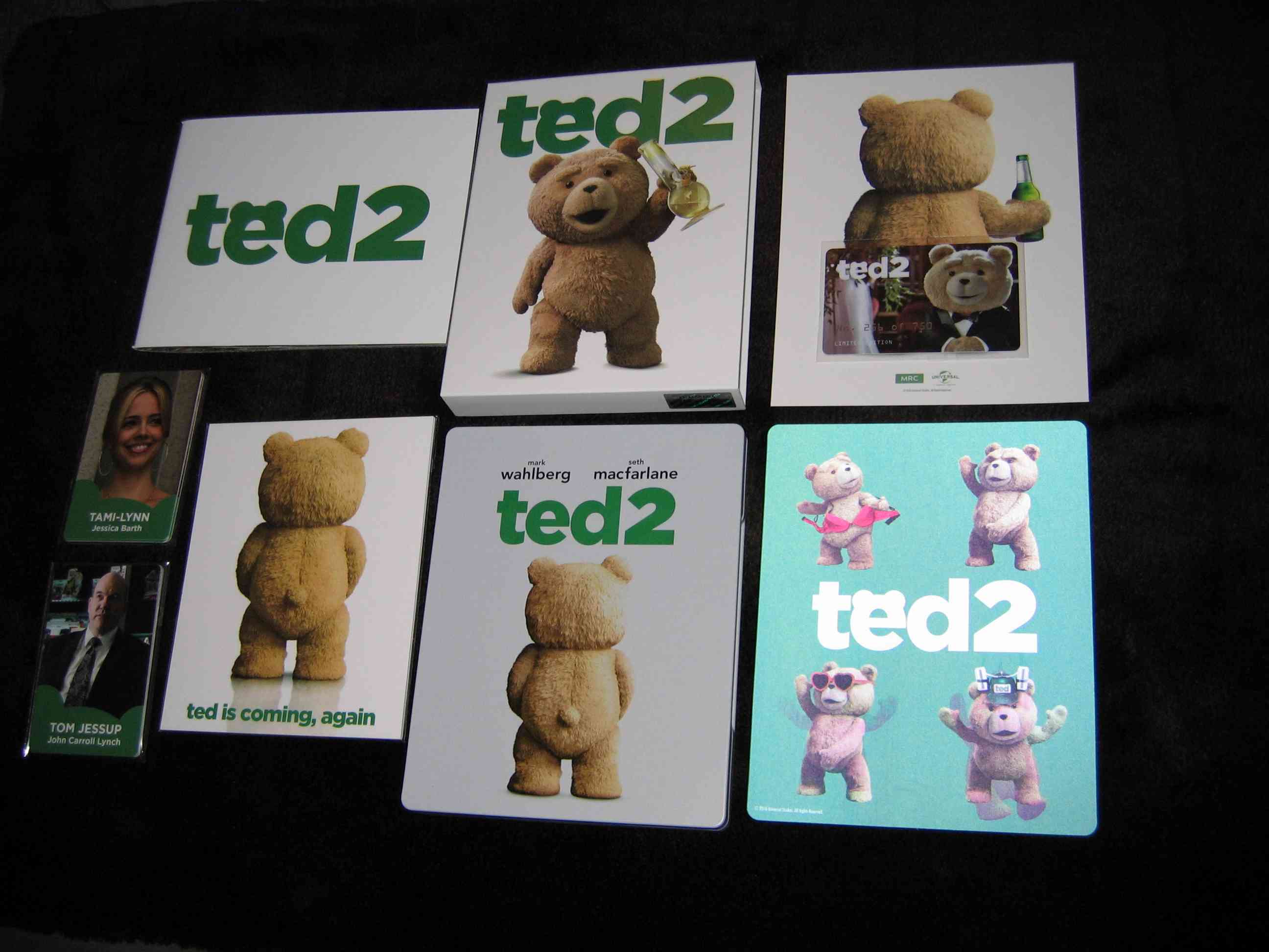 Ted_2 (CZ)_a.JPG