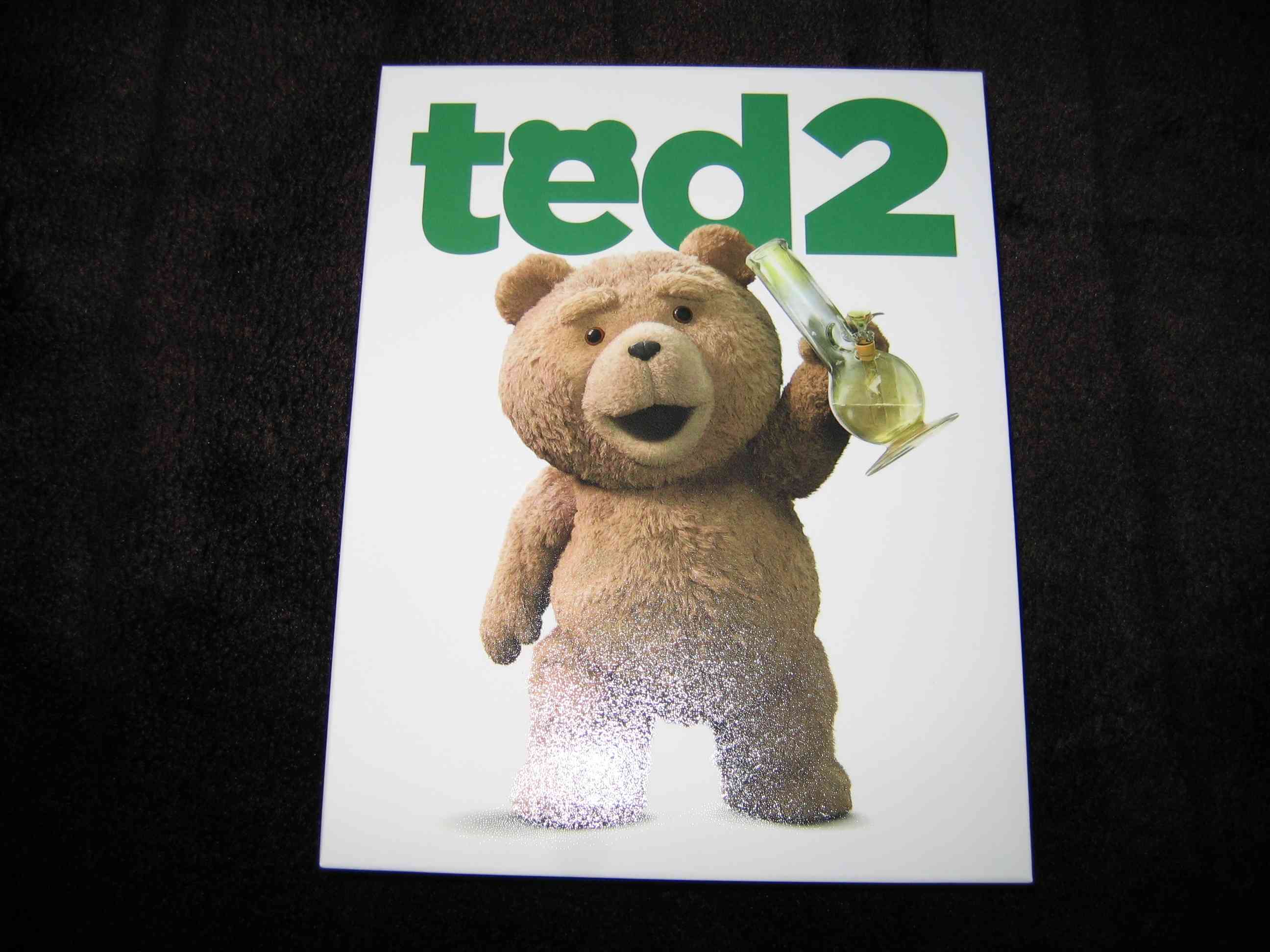 Ted_2 (CZ)_b.JPG