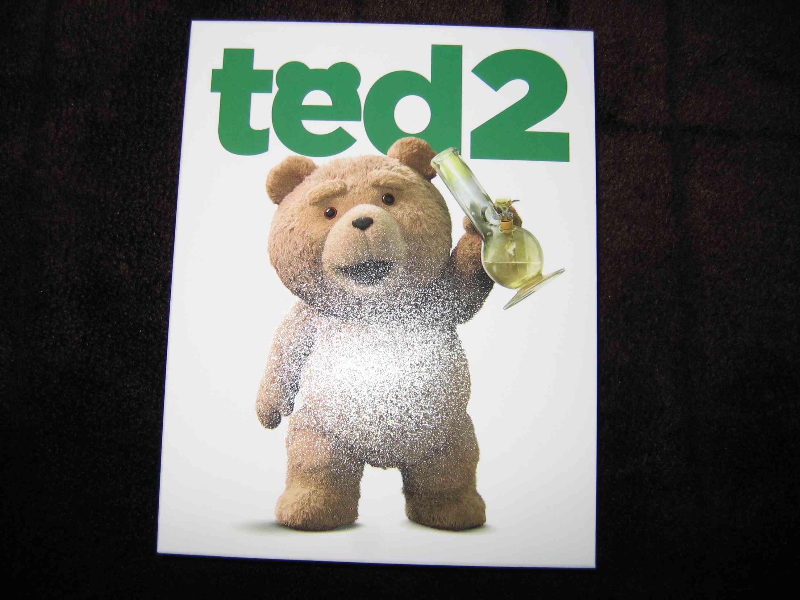 Ted_2 (CZ)_c.JPG