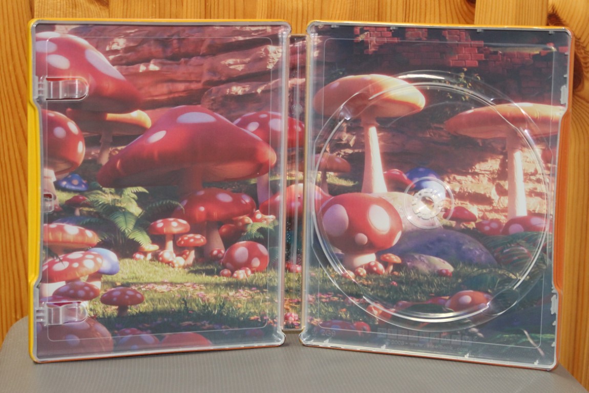 mario_steel_6_Mittel_.JPG