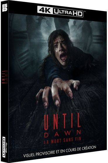 3d-until_dawn_la_mort_sans_fin_uhd.0.jpg