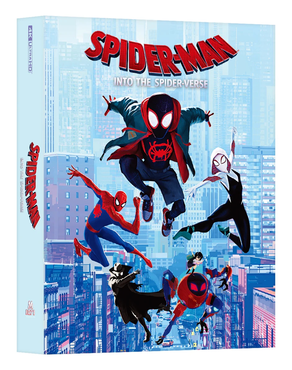 Spiderman_into_FS-front_5000x.jpg