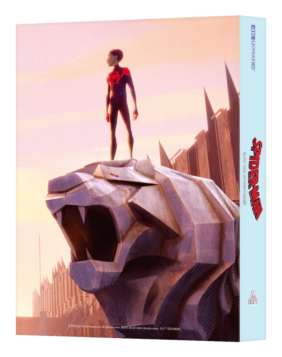 Spiderman_into_FS-back_5000x.jpg