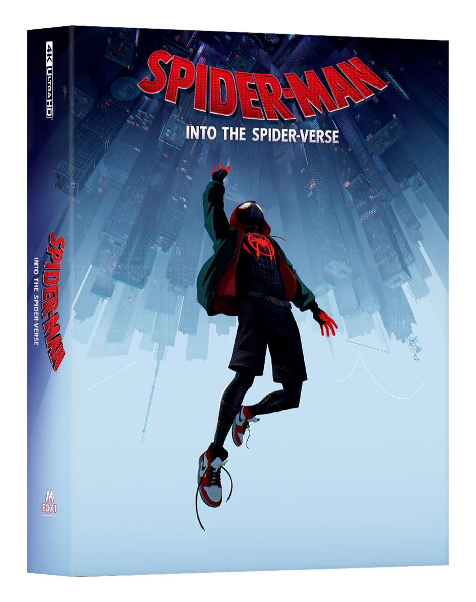 Spiderman_into_DLSA-front_5000x.jpg